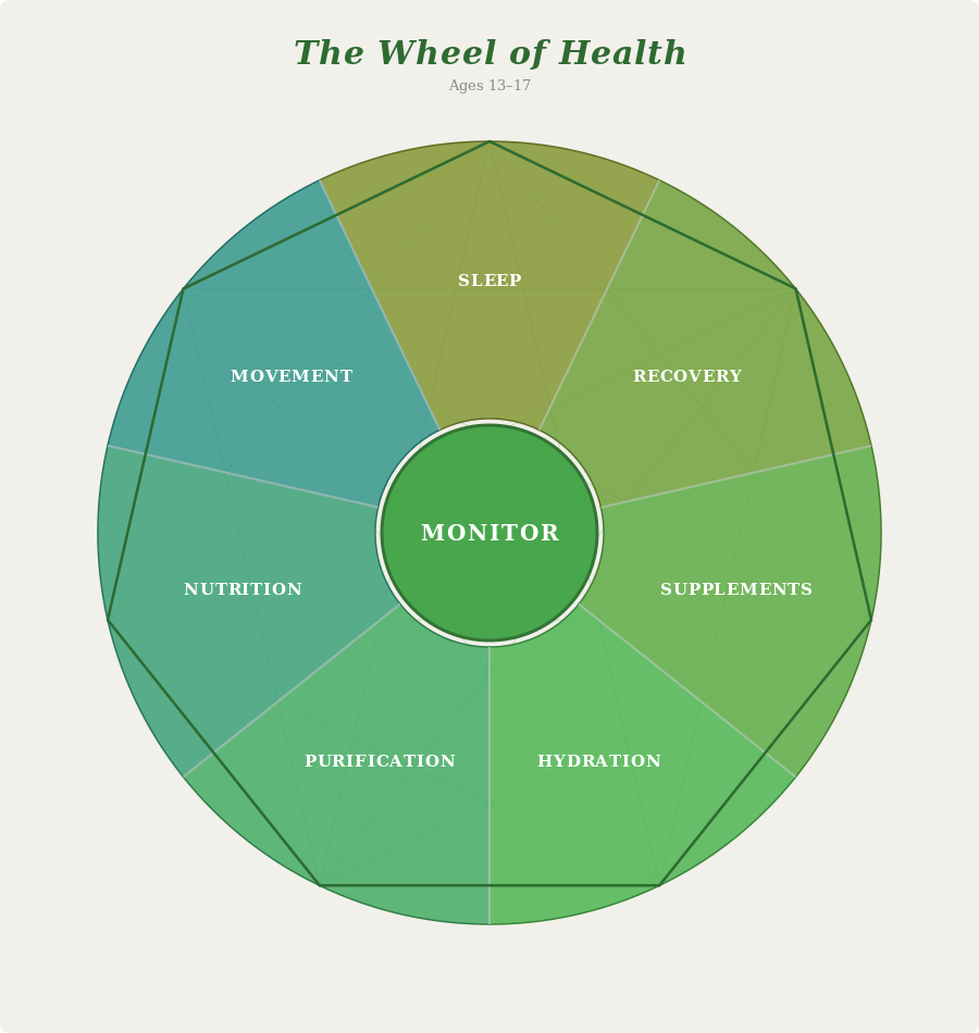 apprentices 13 to 17 health wheel