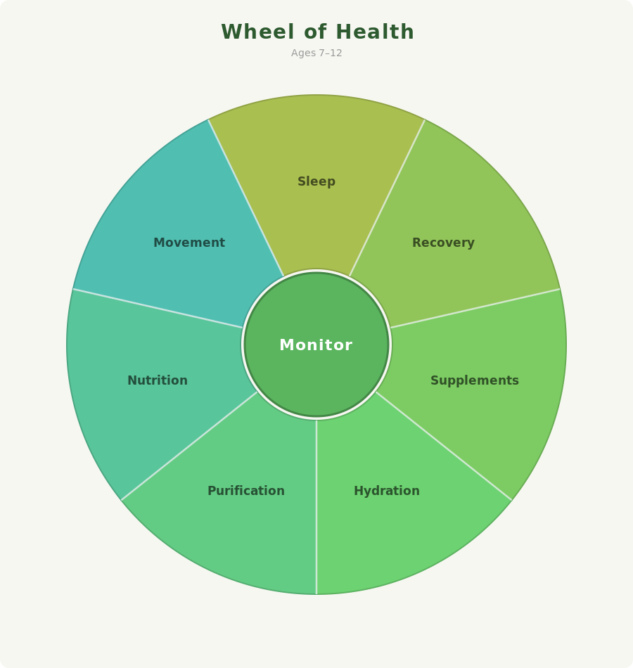 explorers 7 to 12 health wheel