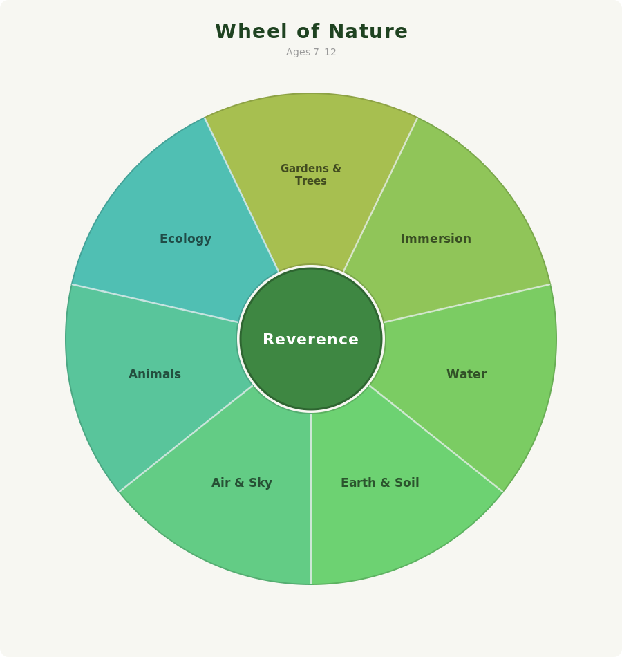 explorers 7 to 12 nature wheel