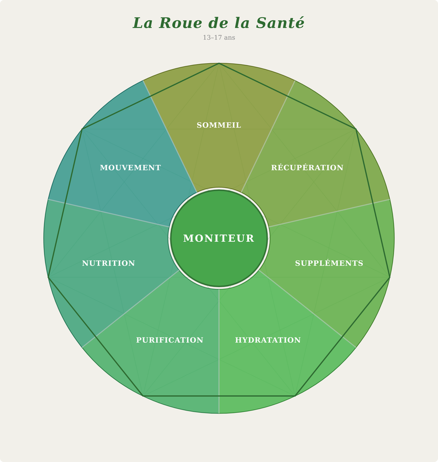 apprentices 13 to 17 health wheel