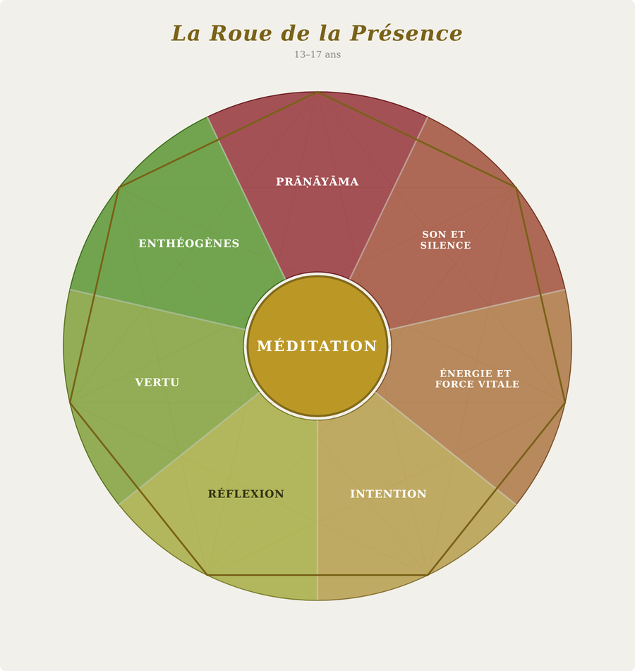 apprentices 13 to 17 presence wheel
