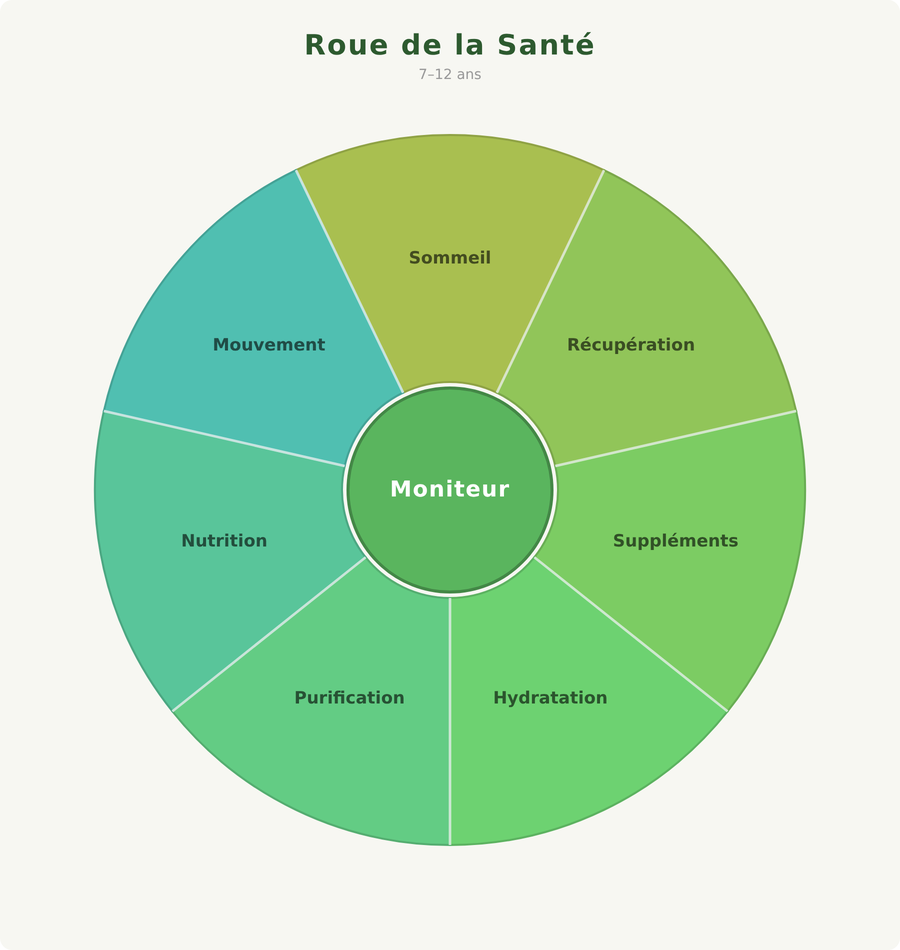 explorers 7 to 12 health wheel