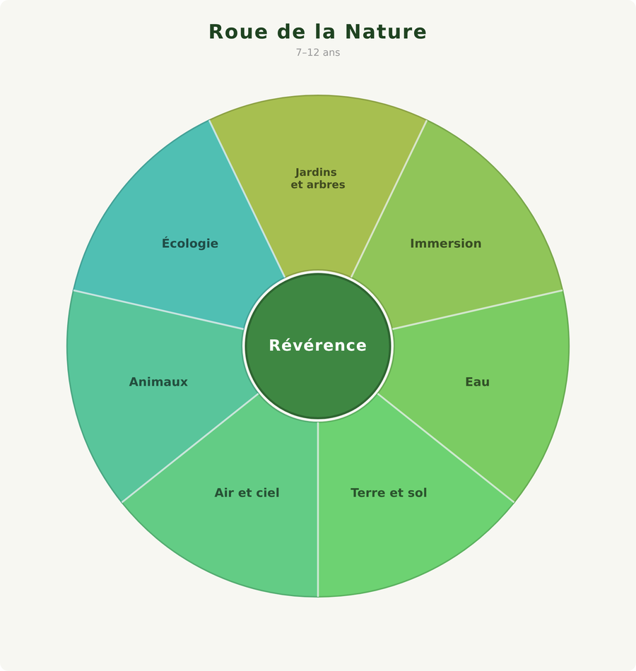 explorers 7 to 12 nature wheel
