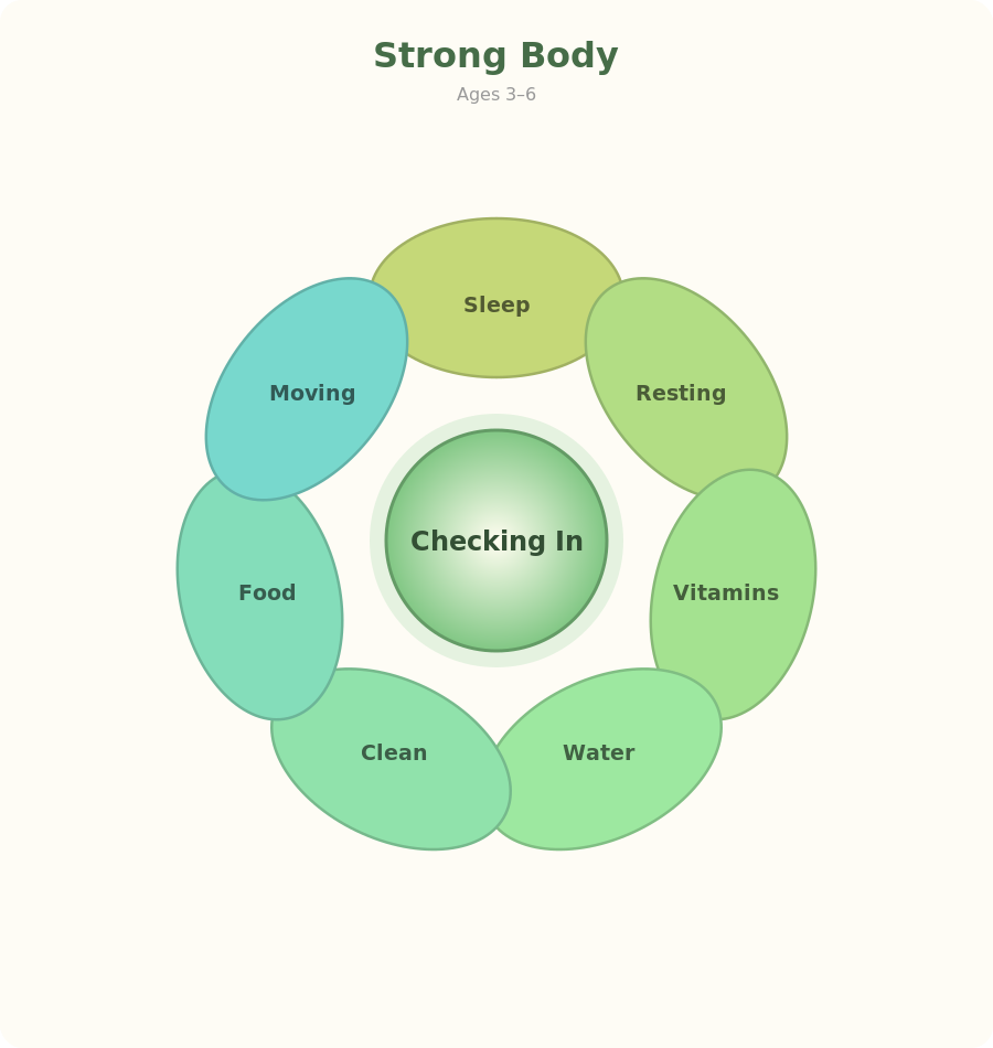 seedlings 3 to 6 health wheel