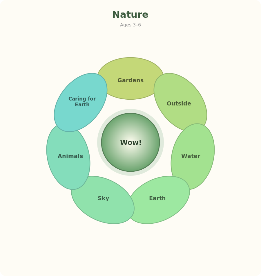 seedlings 3 to 6 nature wheel